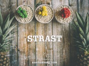 citati strast ananas magazin