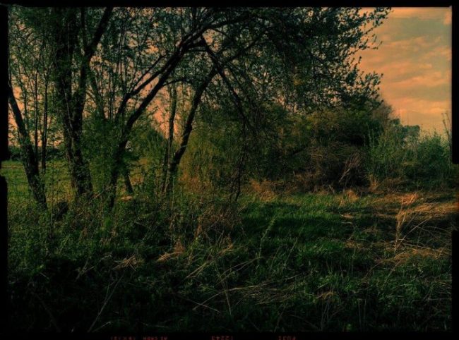 izlozba fotografija djordje odanovic