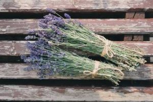 lavanda, caj od lavande, nesanica