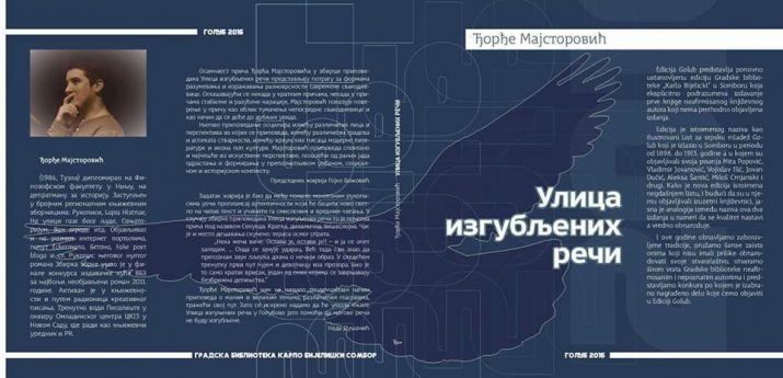 Đorđe Majstorović Ulica izgubljenih reči