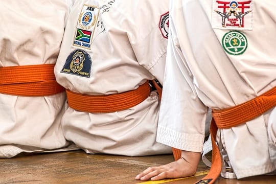karate borilacka vestina foto pixabay