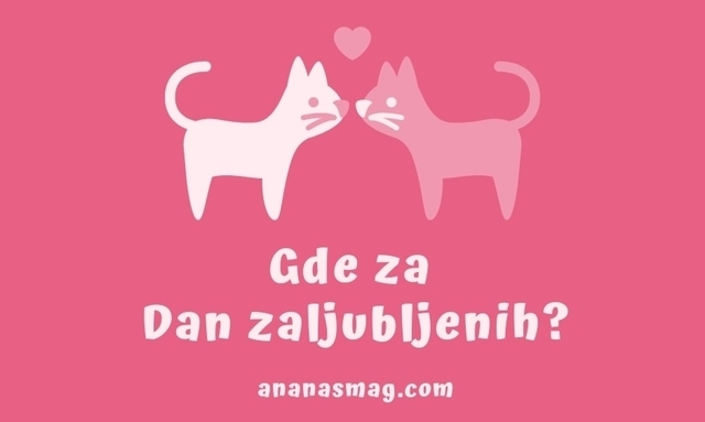 Gde za dan zaljubljenih 3 foto ananas magazin