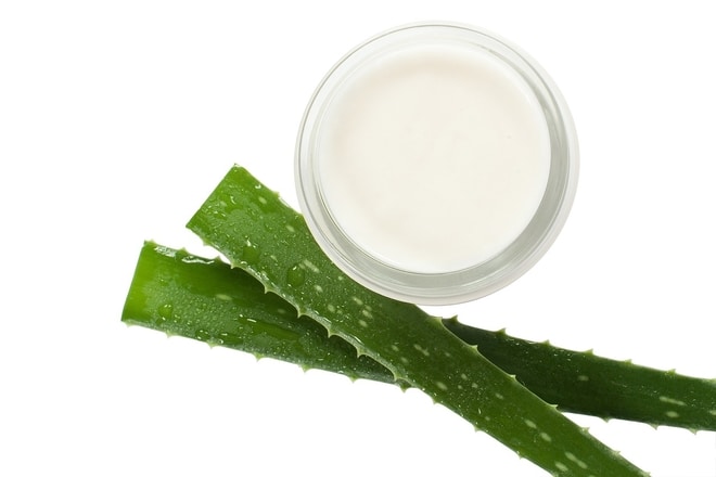 koza, nega koze, hidratacija aloe vera krema cream-3981206_1280 foto Дмитрий Дмитрий from Pixabay